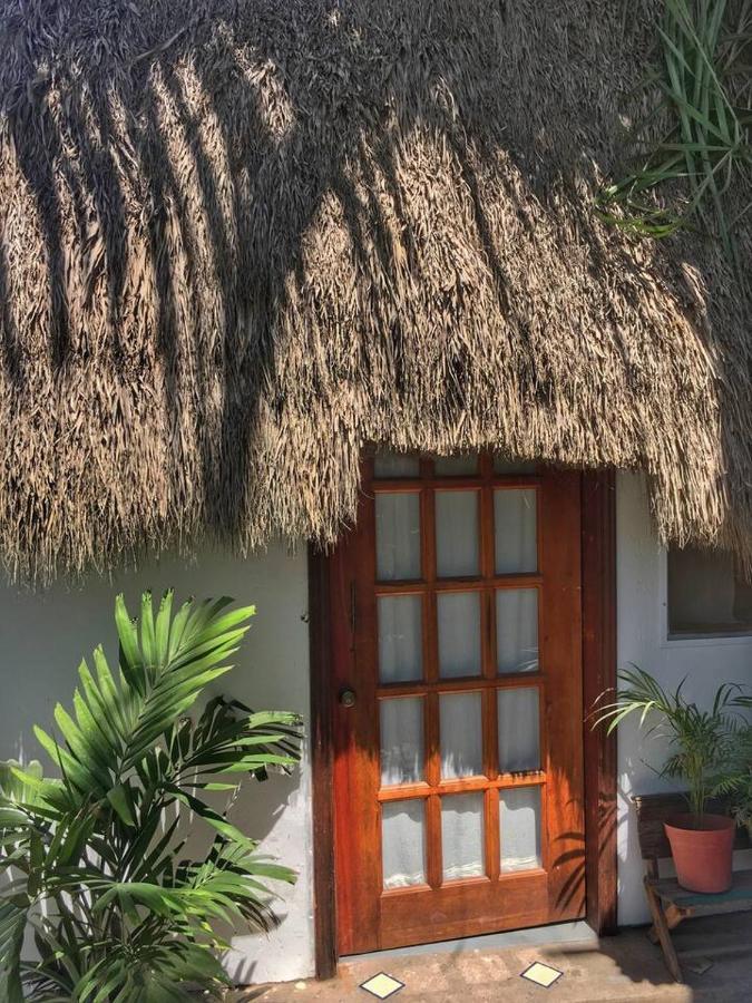 Villa Palapa Chili # à Sayulita Extérieur photo