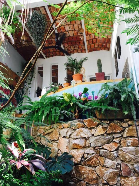 Villa Palapa Chili # à Sayulita Extérieur photo