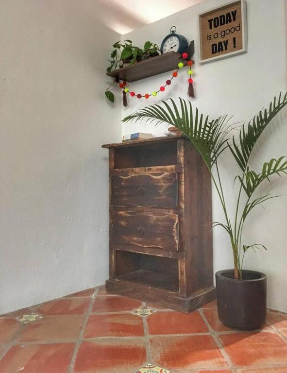 Villa Palapa Chili # à Sayulita Extérieur photo