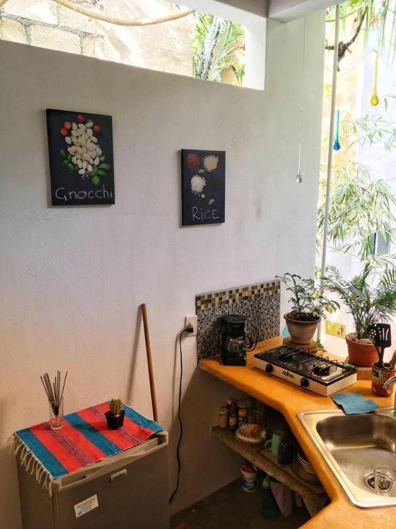 Villa Palapa Chili # à Sayulita Extérieur photo